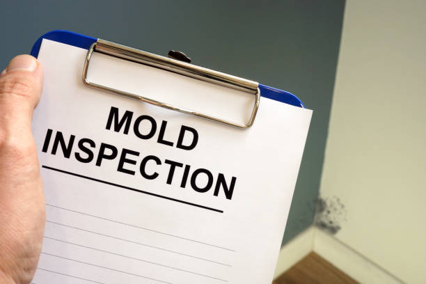 Best Residential Mold Inspection & Testing  in Cocoa West, FL